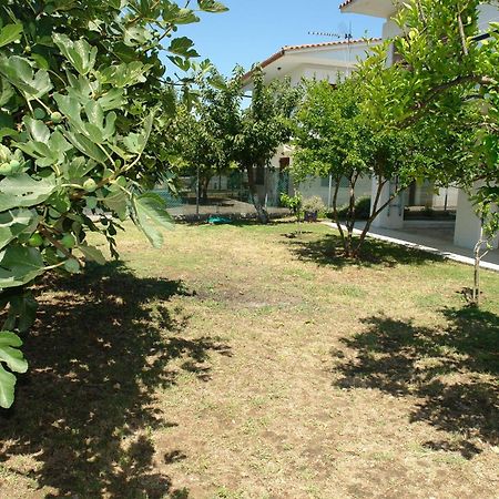Antheia'S House Villa Nea Skioni Exterior photo