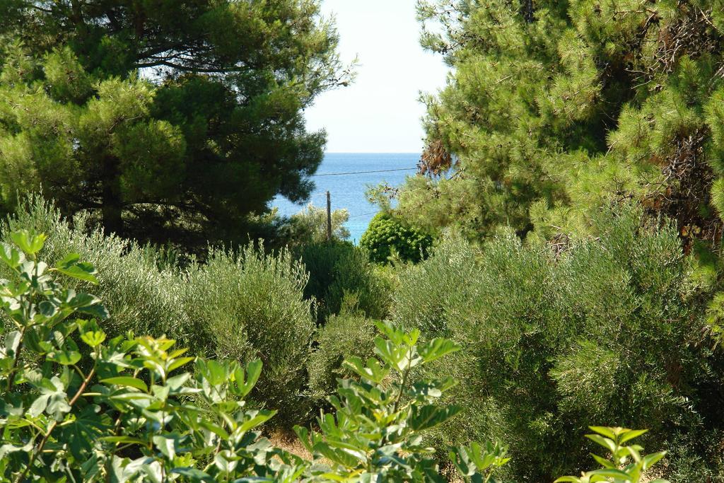 Antheia'S House Villa Nea Skioni Exterior photo